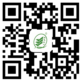 91视频入口网站