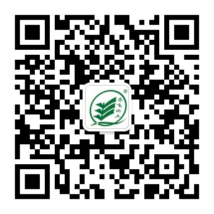91视频入口网站